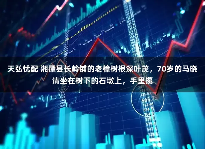 天弘忧配 湘潭县长岭铺的老樟树根深叶茂，70岁的马晓清坐在树下的石墩上，手里攥